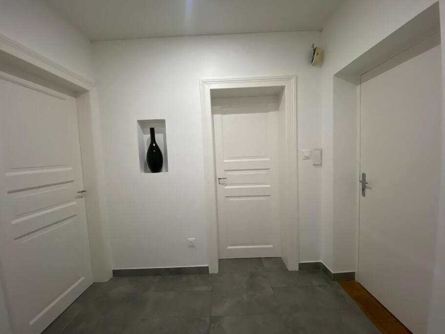 Le Confort D'Un Appartement Schiltigheim Luaran gambar