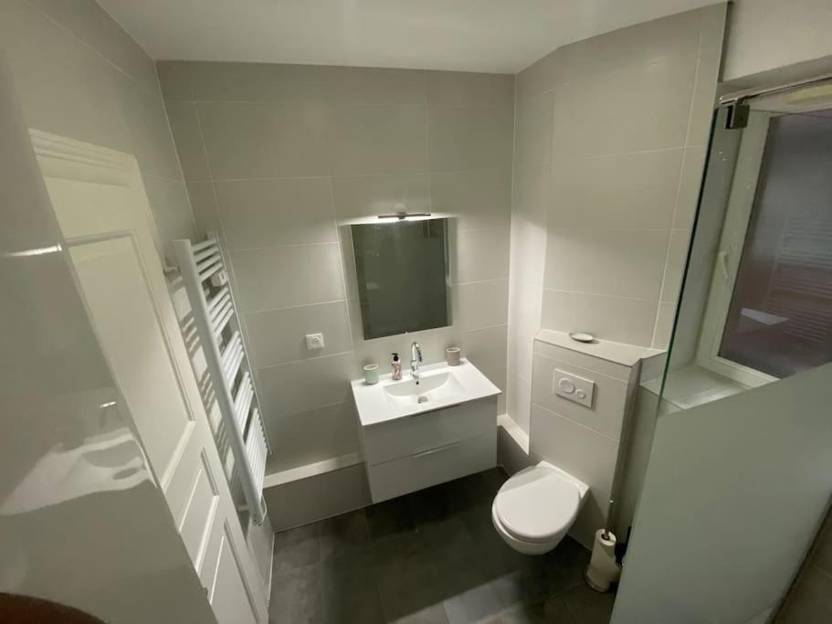 Le Confort D'Un Appartement Schiltigheim Luaran gambar
