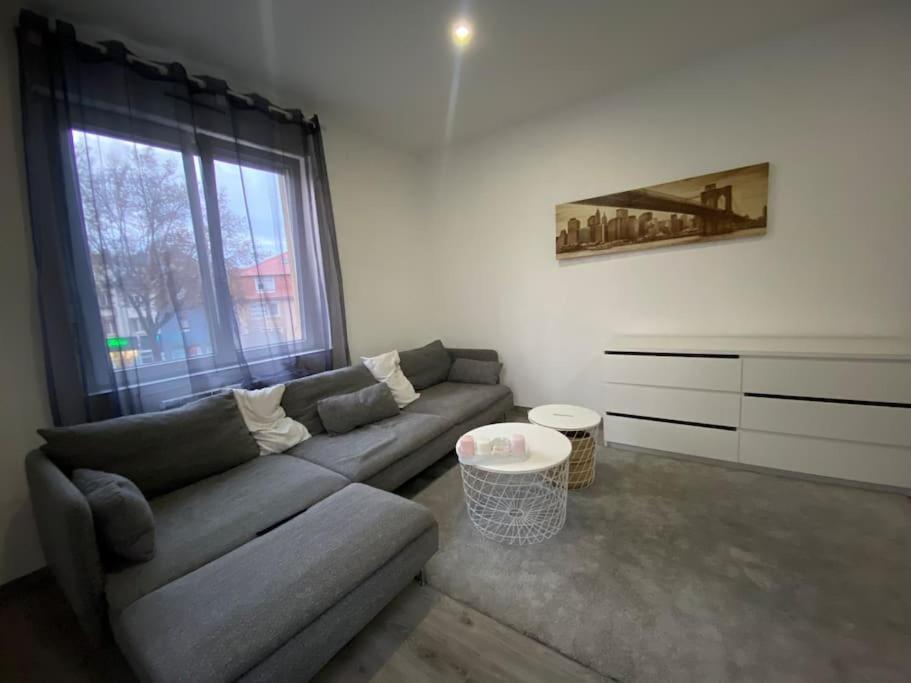 Le Confort D'Un Appartement Schiltigheim Luaran gambar